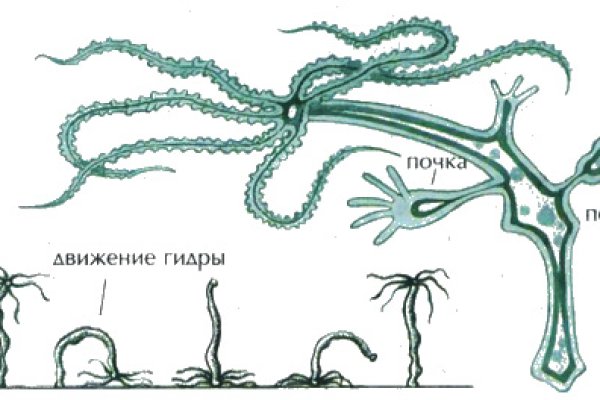 Кракен рабочий сайт