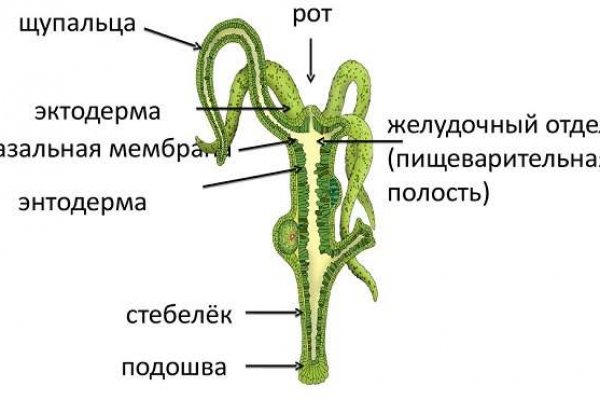 Даркнет сайт скачать